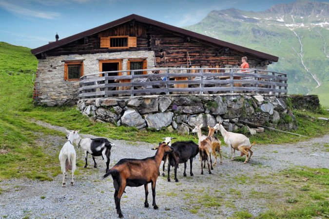 Bewirtschaftete Tofereralm in Bad Hofgastein