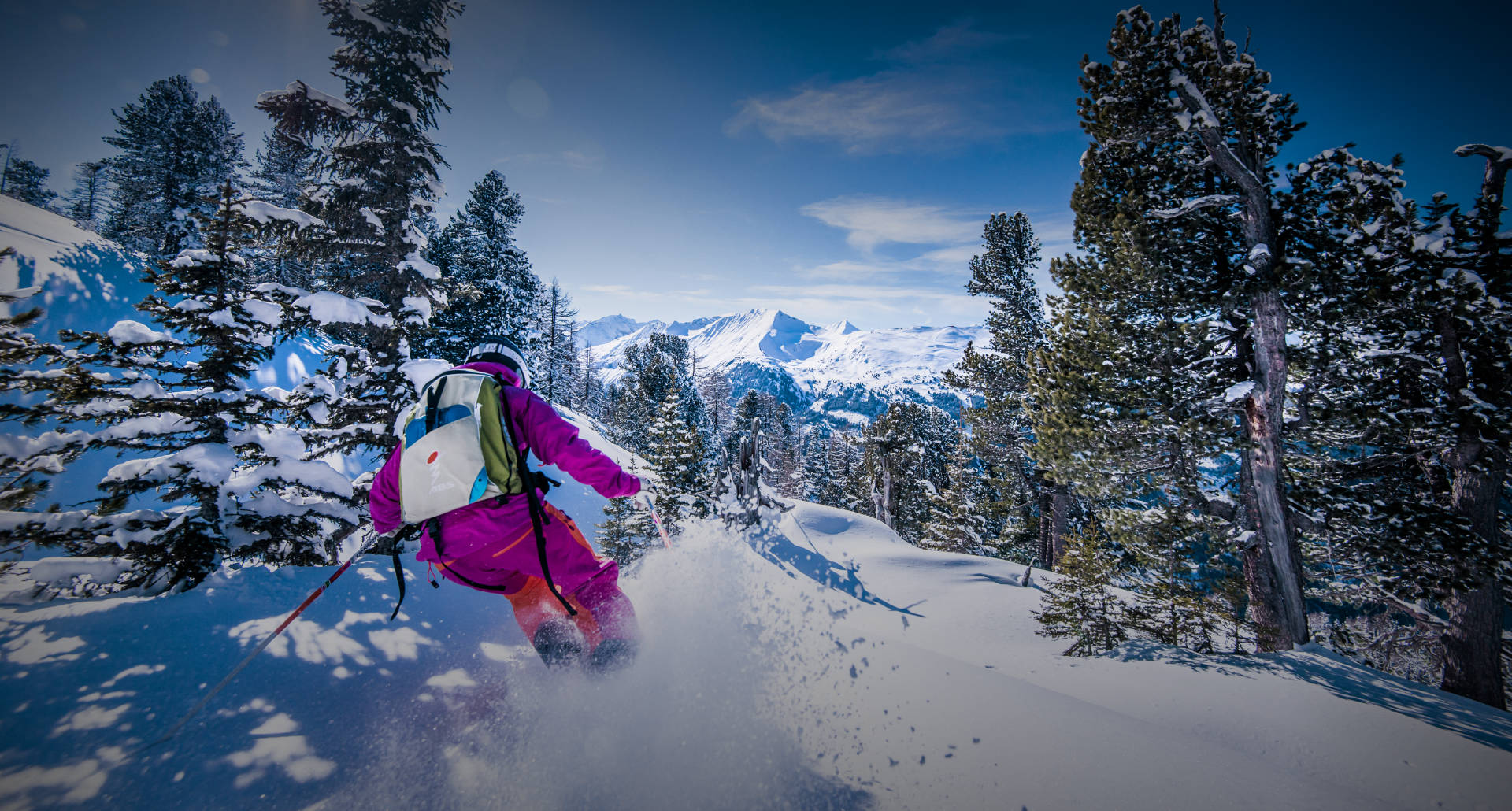 Winter-& Skiurlaub in Bad Hofgastein - Urlaub am Bauernhof - Tofererhof